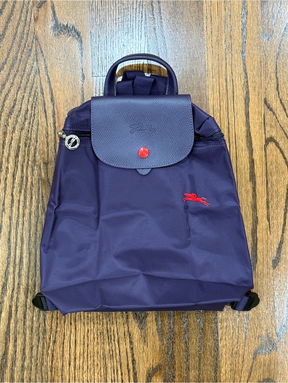 Longchamp Backpack Taro Purple color